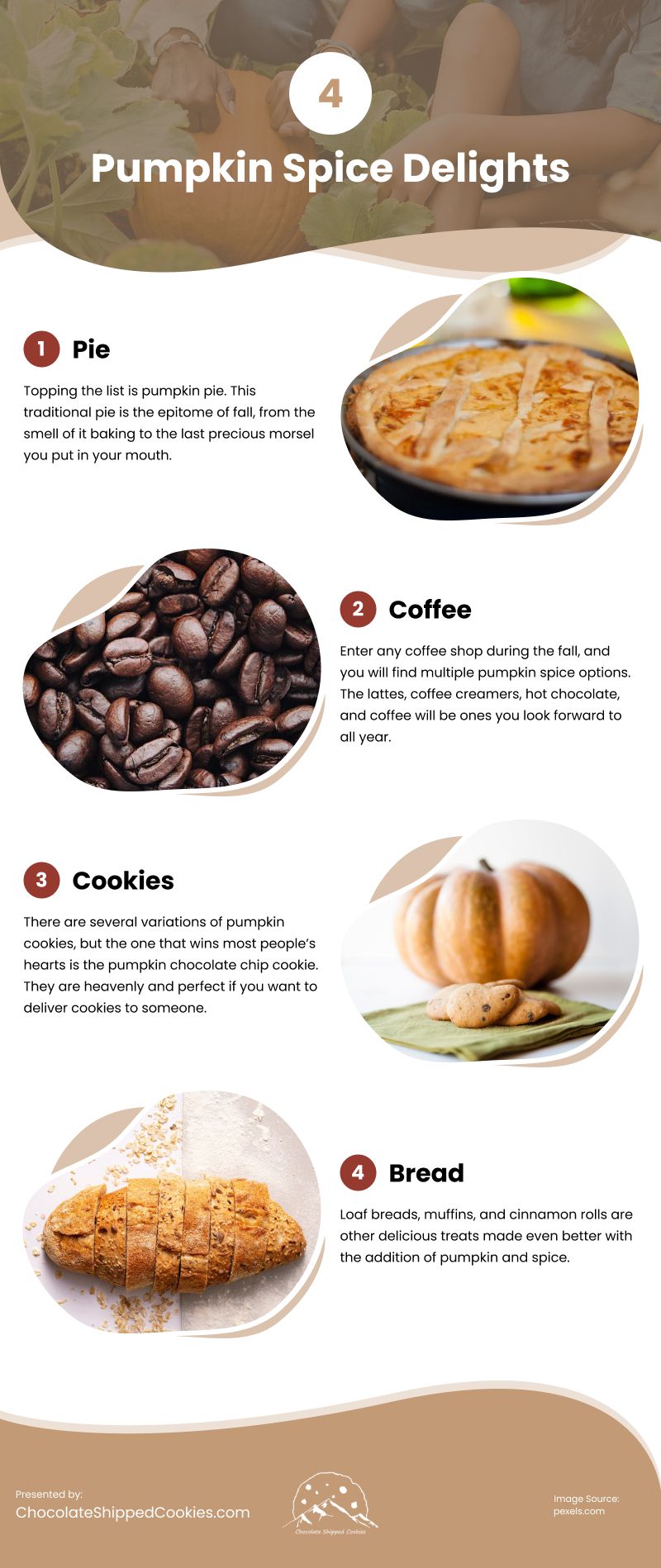 4 Pumpkin Spice Delights Infographic